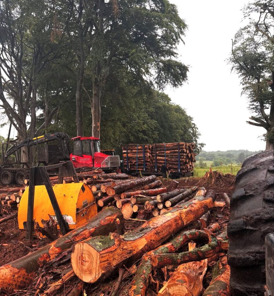 whatsapp image 2026 03 30 at 5.50.19 pm (1) whatsapp image 2026 03 30 at 5.50.19 pm (1)