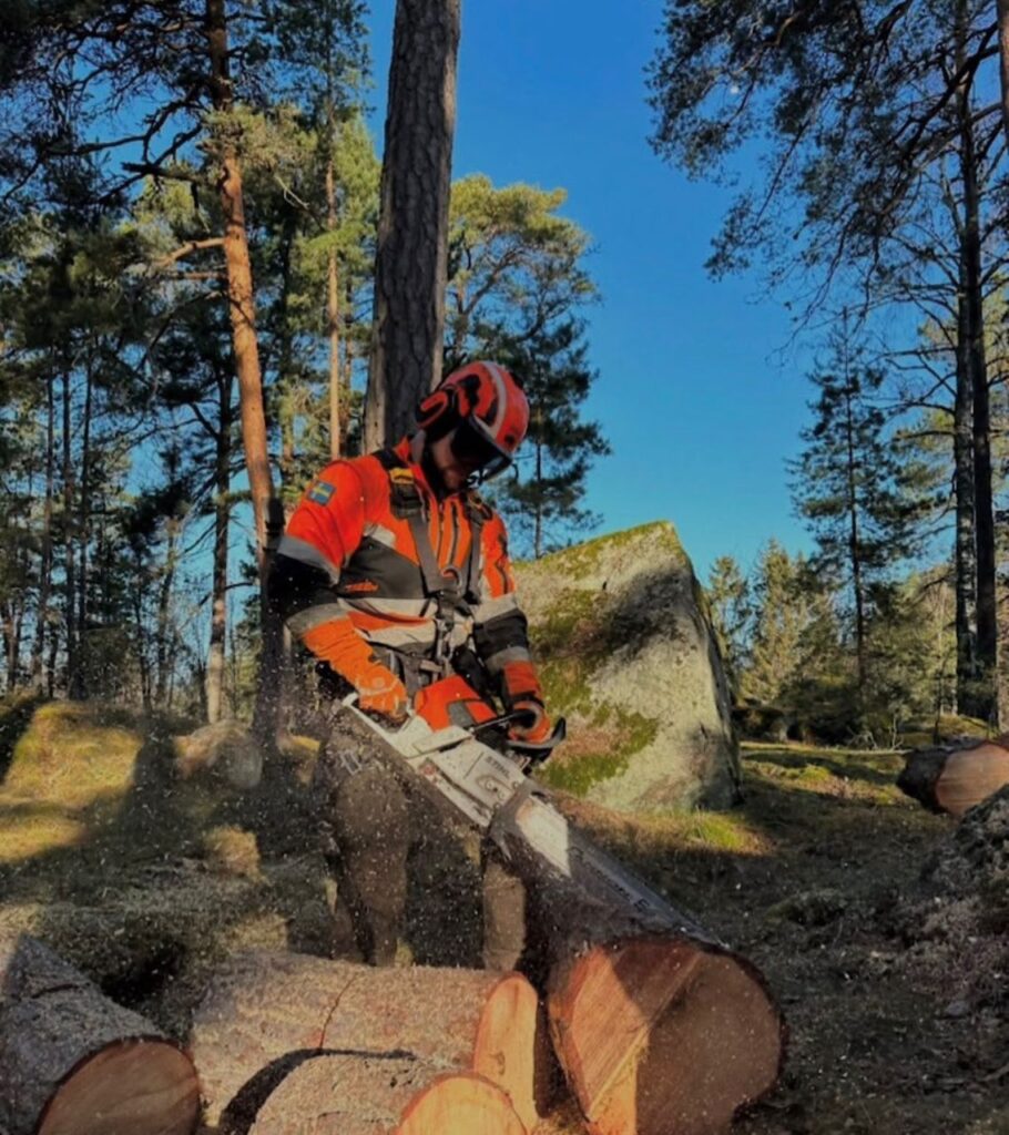 whatsapp image 2026 03 30 at 5.50.19 pm whatsapp image 2026 03 30 at 5.50.19 pm