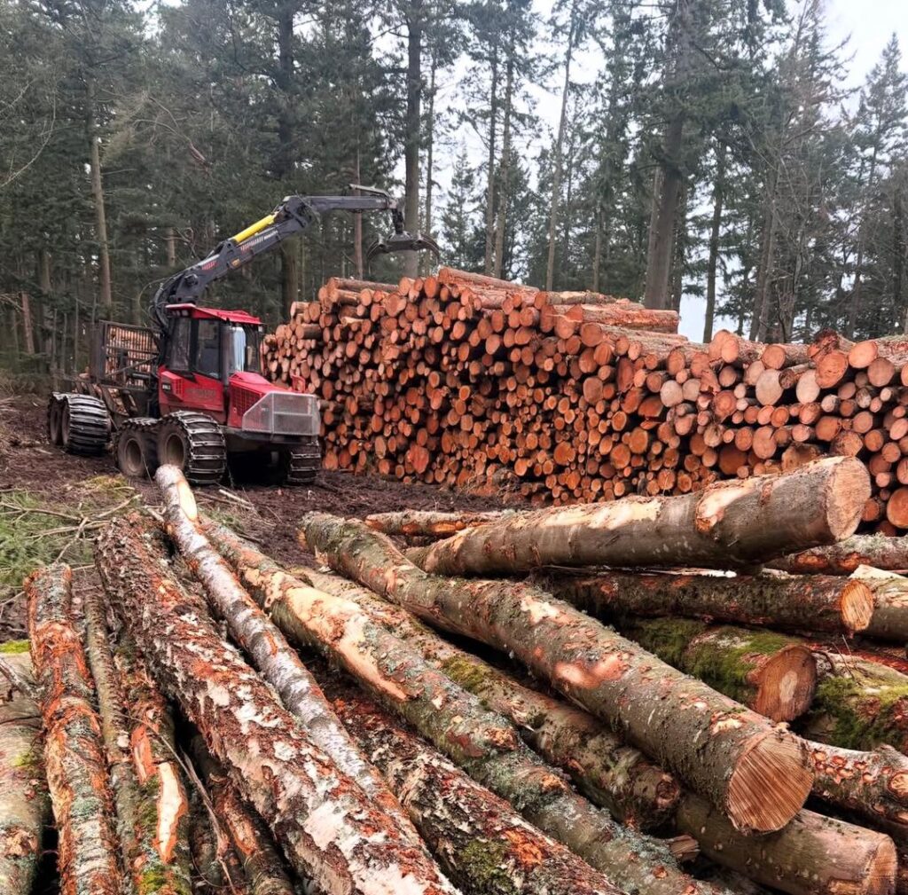 whatsapp image 2026 03 30 at 6.45.57 pm (1) whatsapp image 2026 03 30 at 6.45.57 pm (1)