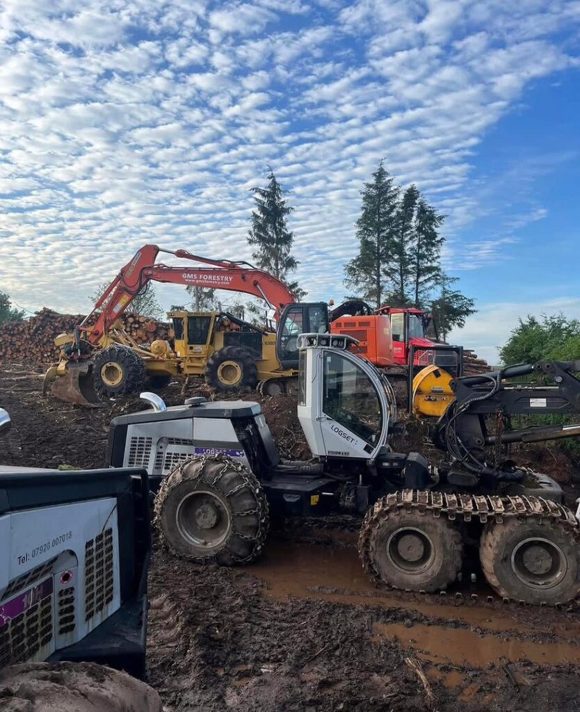 whatsapp image 2026 03 30 at 6.46.03 pm (1) whatsapp image 2026 03 30 at 6.46.03 pm (1)