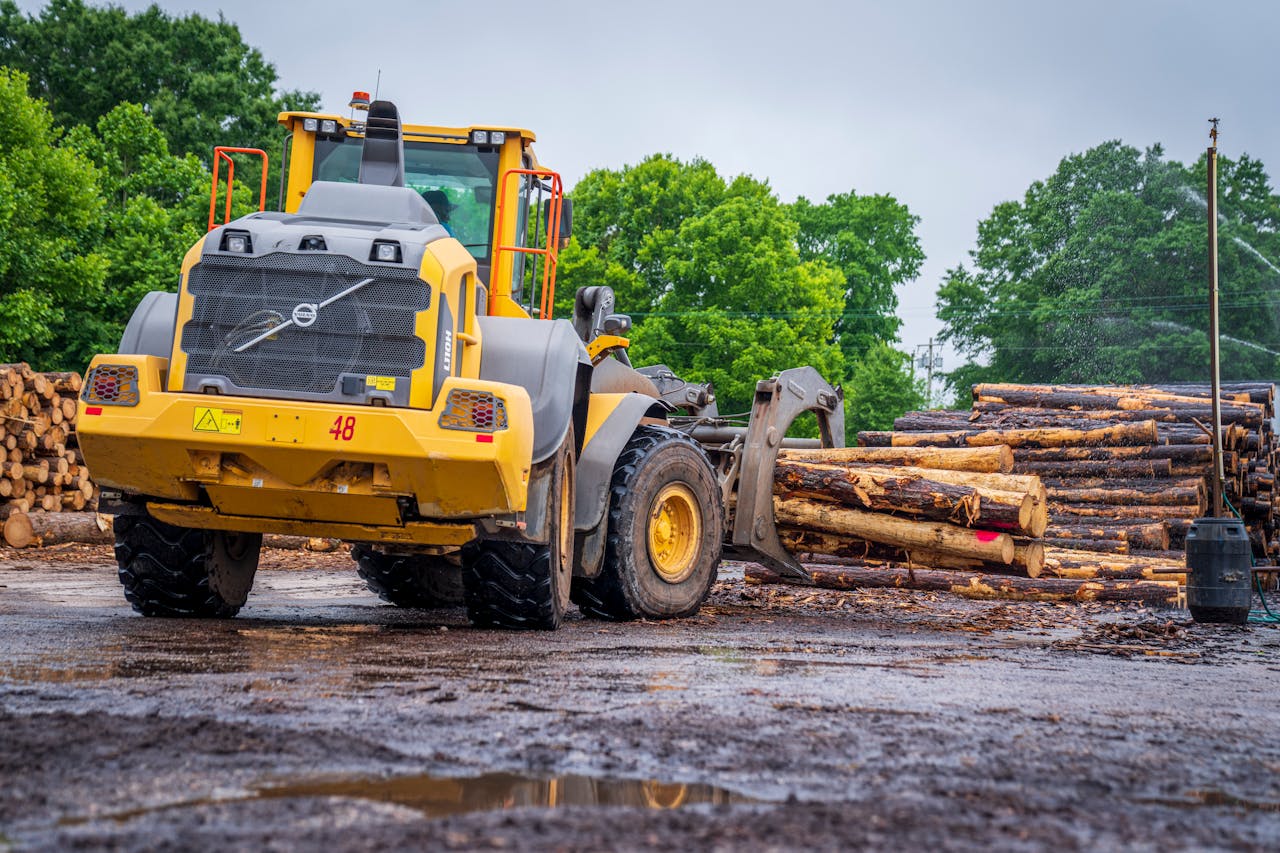 services-01 Yellow industrial loader carrying tree logs in a muddy lumber yard setting.