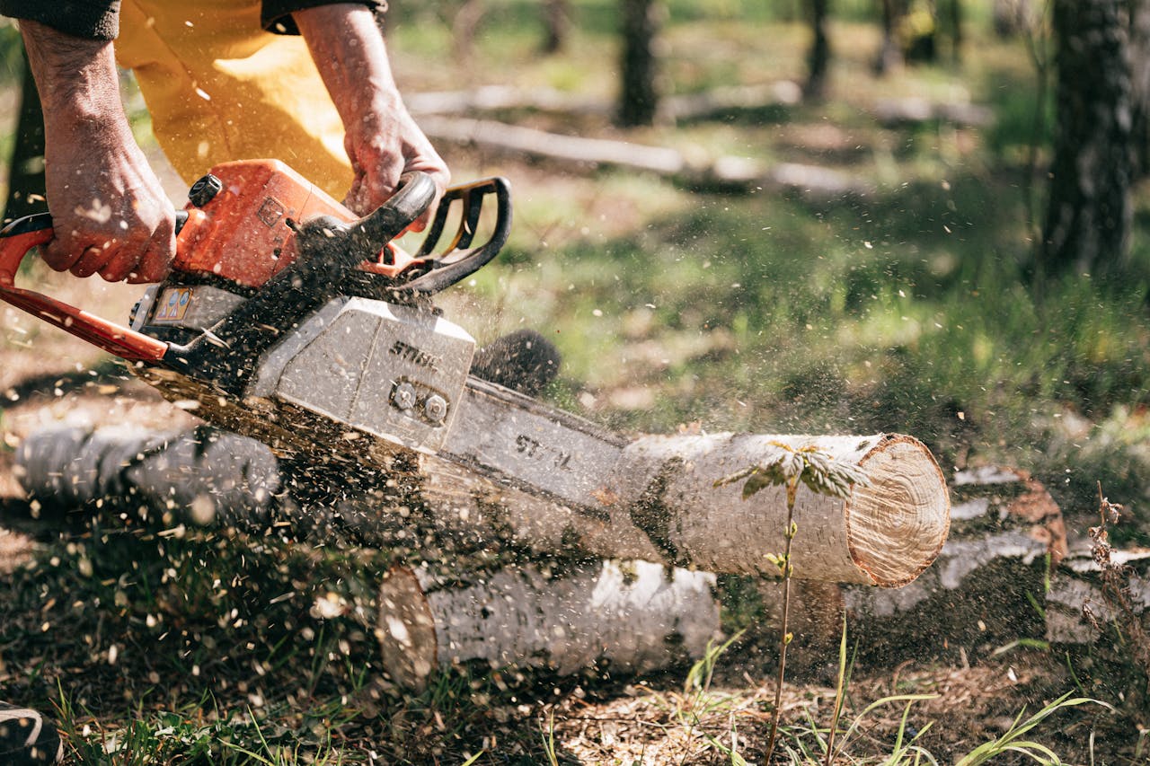 about-01 A lumberjack using a chainsaw to cut logs outdoors, with sawdust flying.