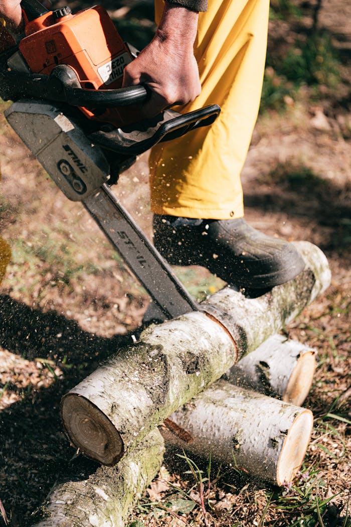 services-02 A person using a chainsaw to cut wooden logs outdoors, showcasing forestry work.