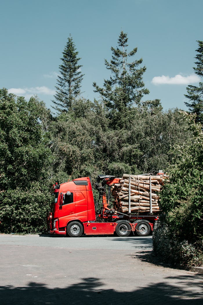 gallery-3 A bright red truck carrying logs parked along a lush green forest