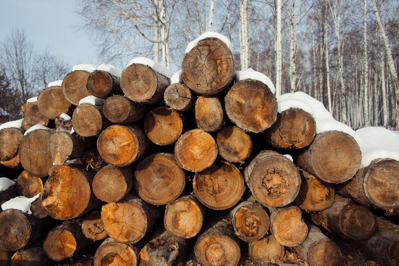 gallery-2 Close-up of stacked firewood logs with snow, set against a birch forest in winter.